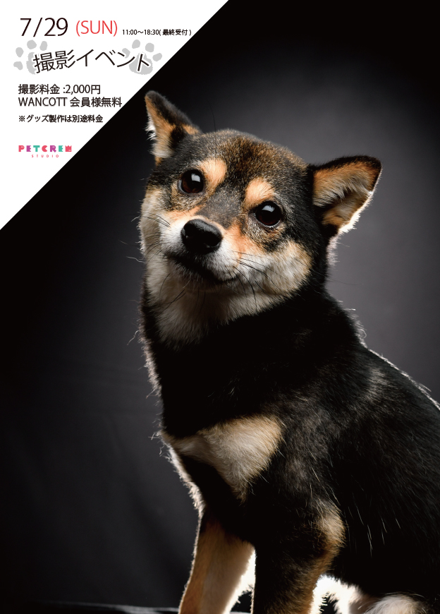 コミュニティスペース Joker主催 撮影会イベント開催 ペットホテル横浜 Wancott ワンコット 犬と人のための大型複合施設