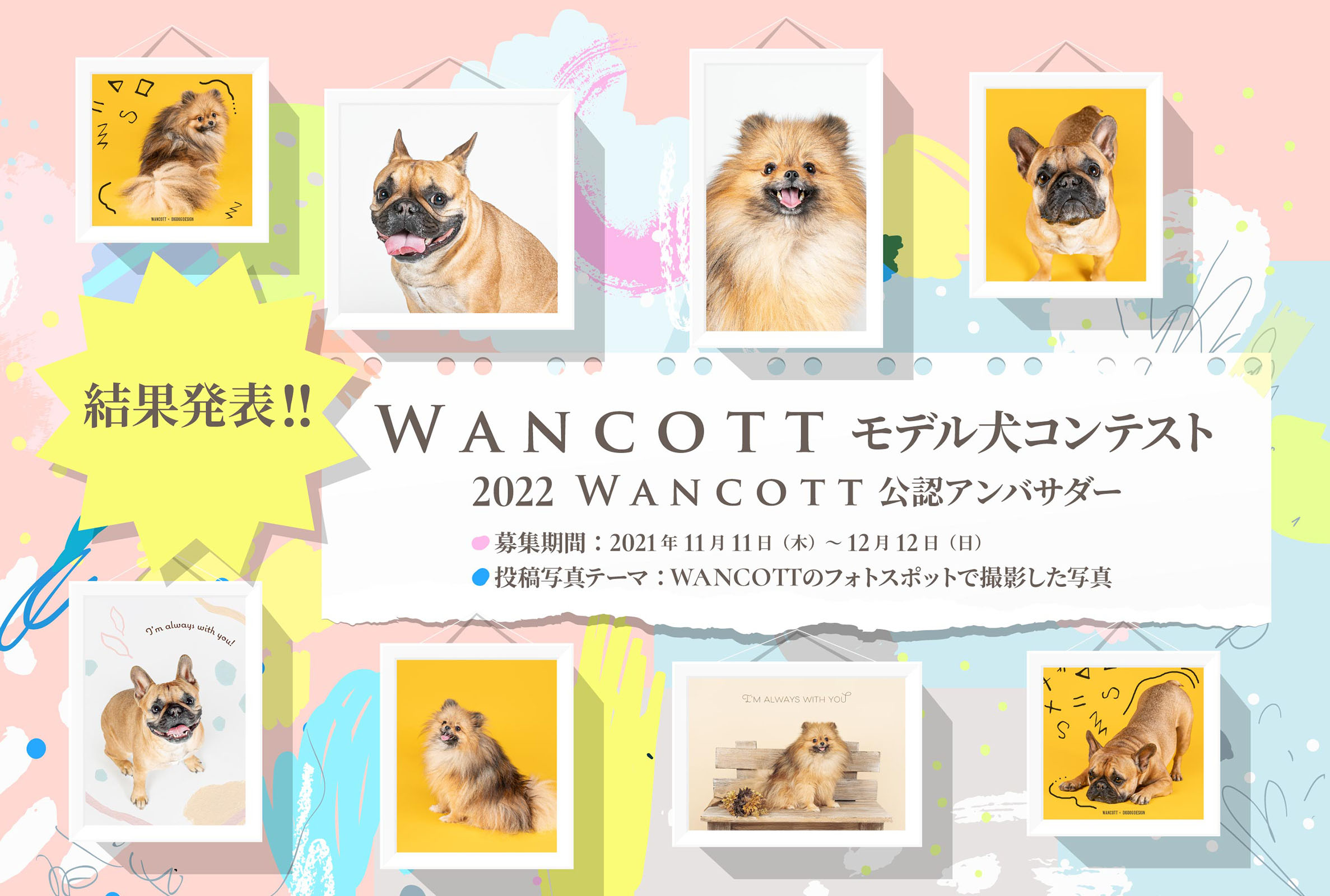 『WANCOTTモデル犬 コンテスト』～2022 WANCOTT公認アンバサダー～ 結果発表！