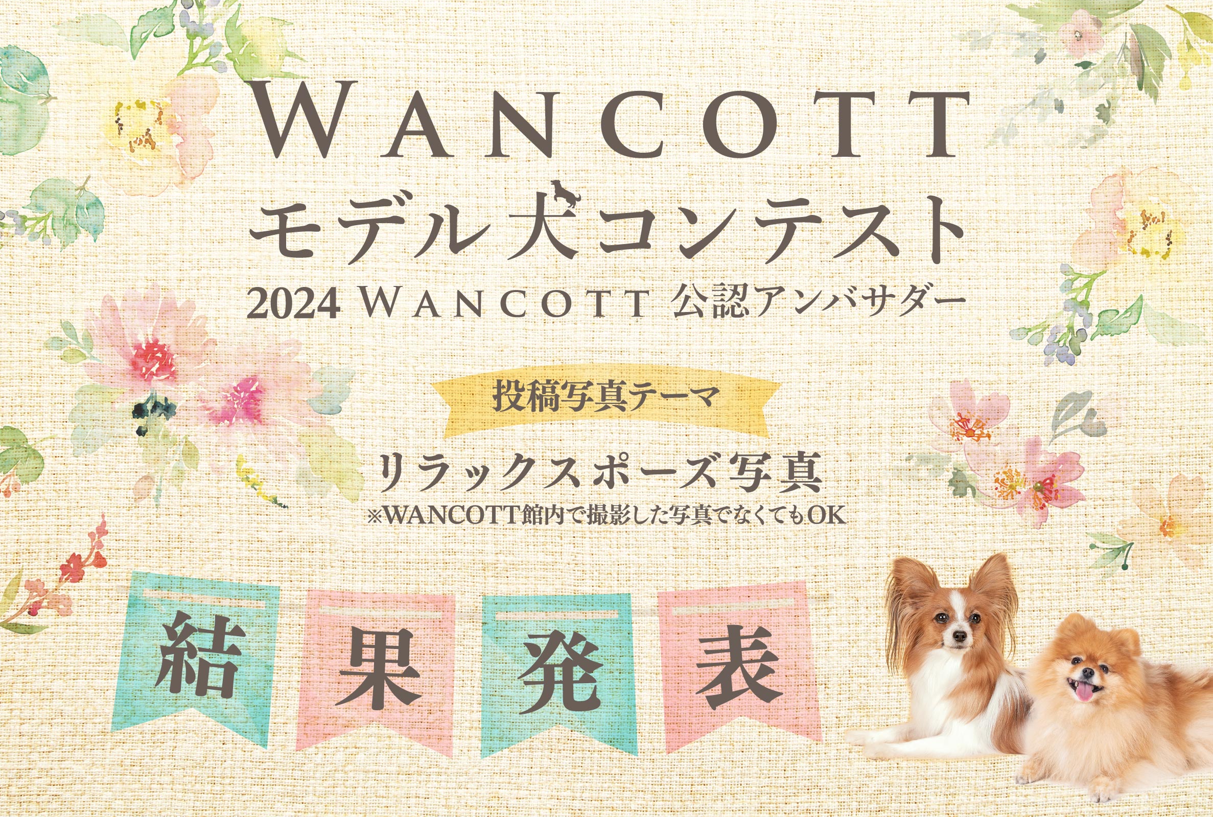 『WANCOTTモデル犬 コンテスト』～2024 WANCOTT公認アンバサダー～ 結果発表！